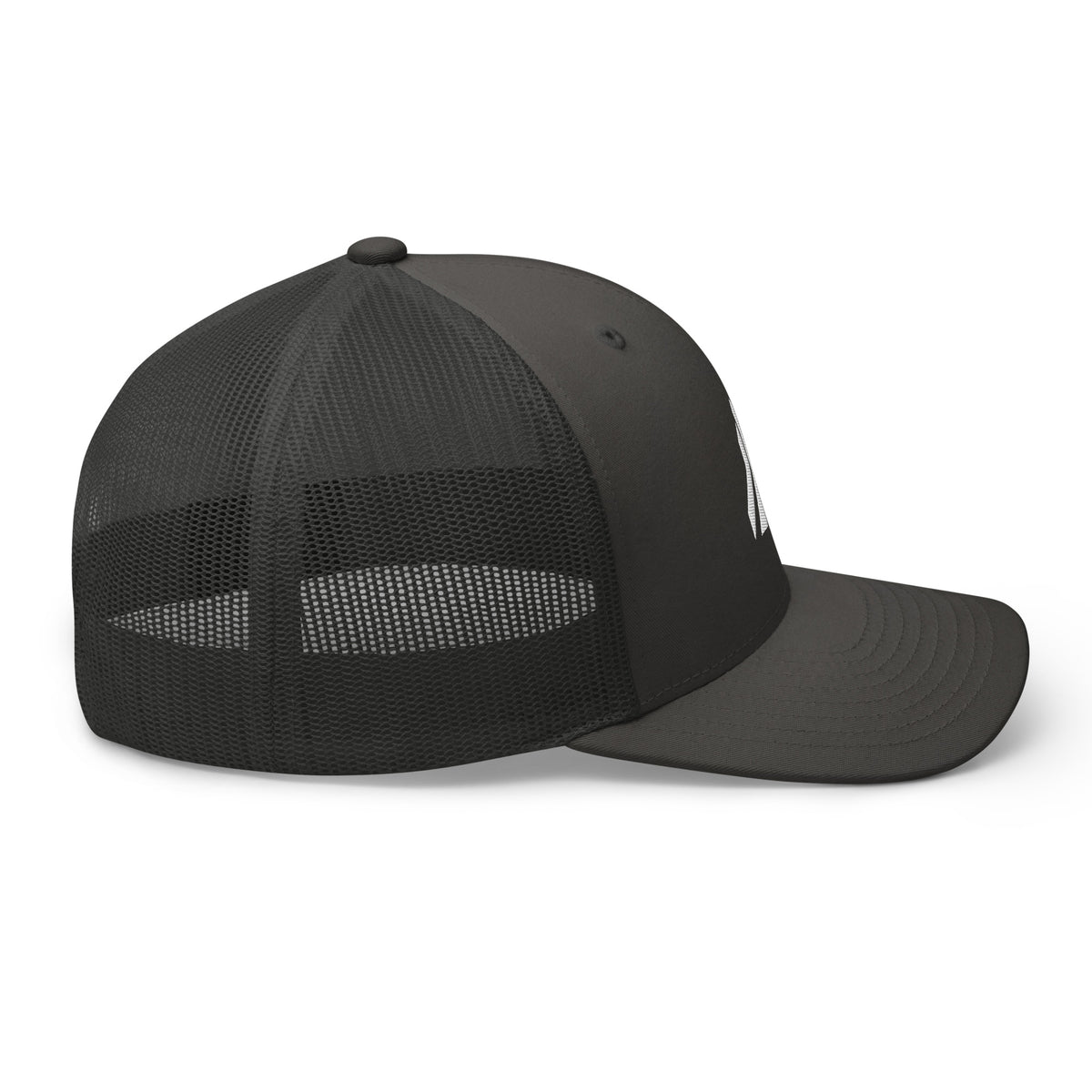#couleur_charcoal/-black